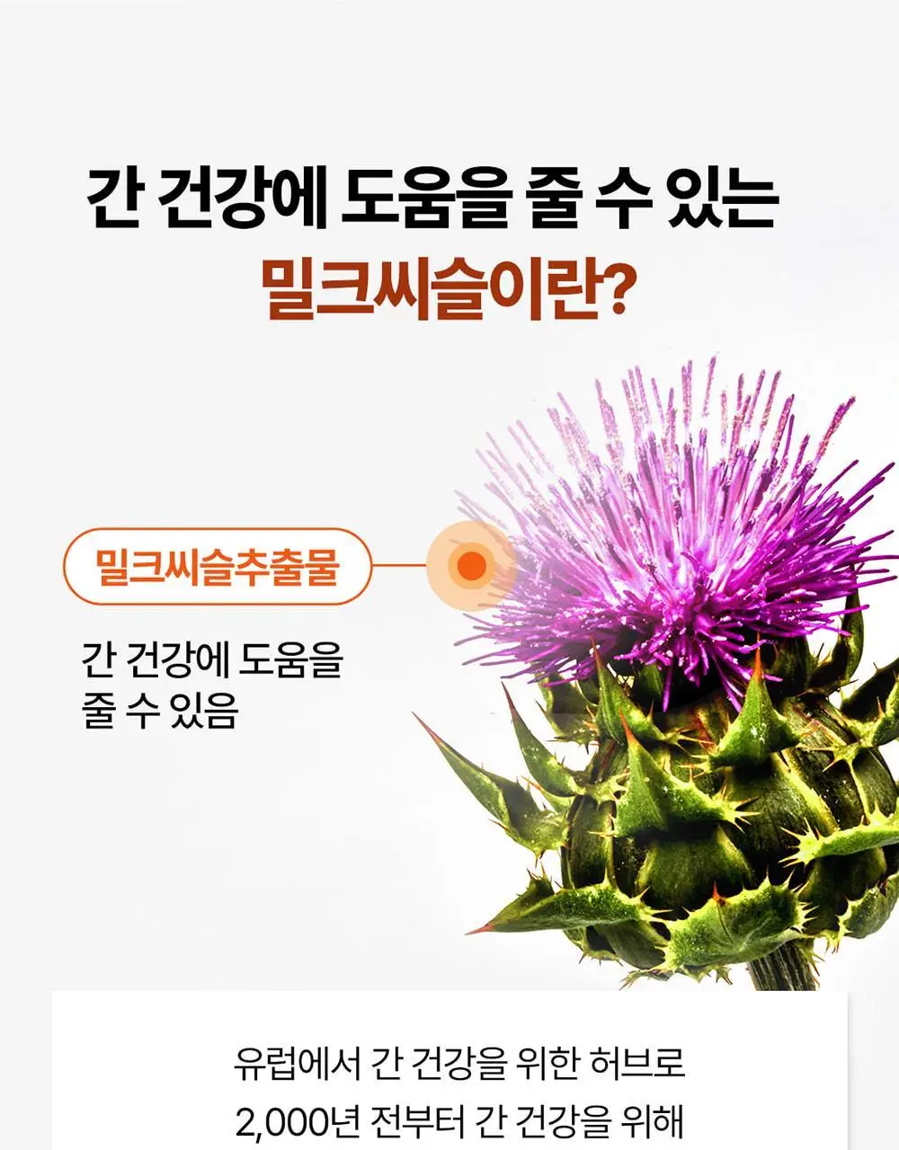 [대용량] 그린몬스터 맥스 밀크씨슬 10 90정 (3개월분) 상세페이지 14